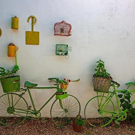 Real Quinta De La Concepcion Hotel Hinojosa de Duero