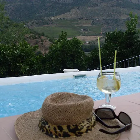 Real Quinta De La Concepcion Hinojosa de Duero