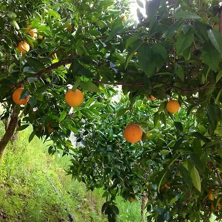 Hotel Real Quinta De La Concepcion