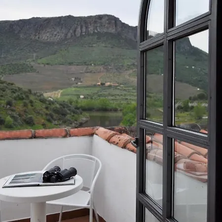Real Quinta De La Concepcion