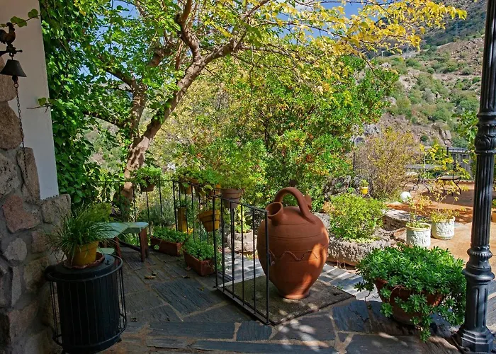 Real Quinta De La Concepcion Hinojosa de Duero