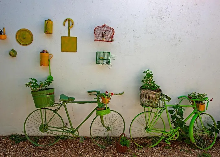 Real Quinta De La Concepcion Hotel Hinojosa de Duero