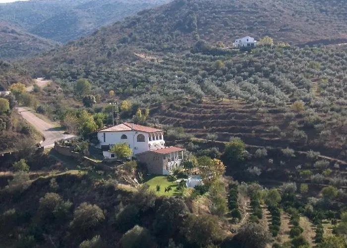 Real Quinta De La Concepcion 3*