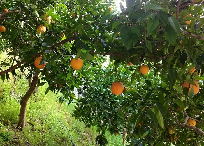 Hotel Real Quinta De La Concepcion